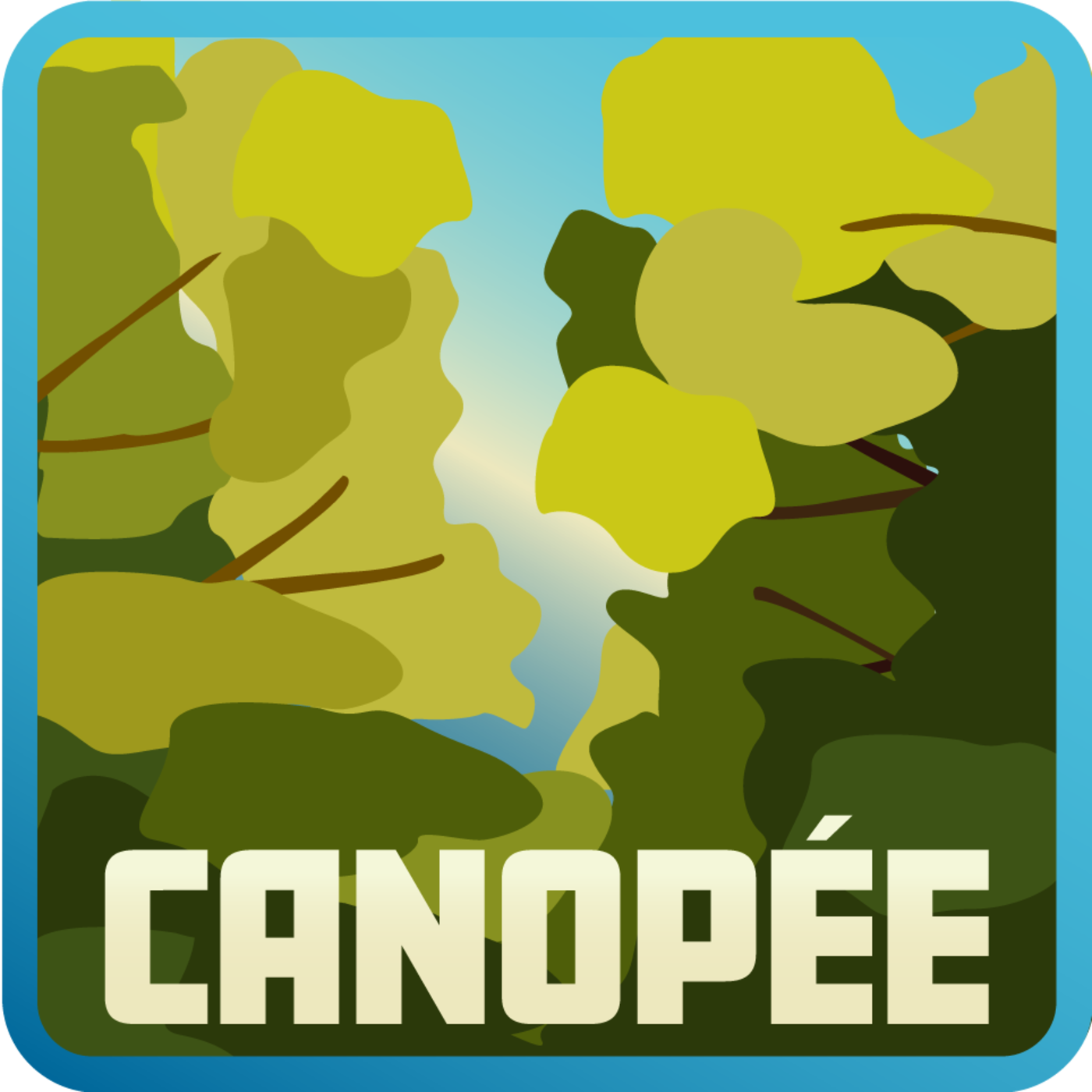 Canopée ajout 1