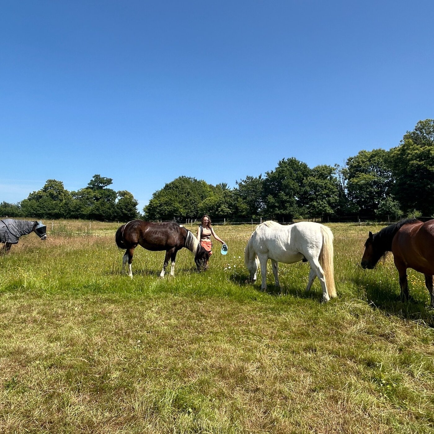 Rencontre avec Célia CARIMALO créatrice de "Sur le chemin des sabots" centre d'équipédagogie