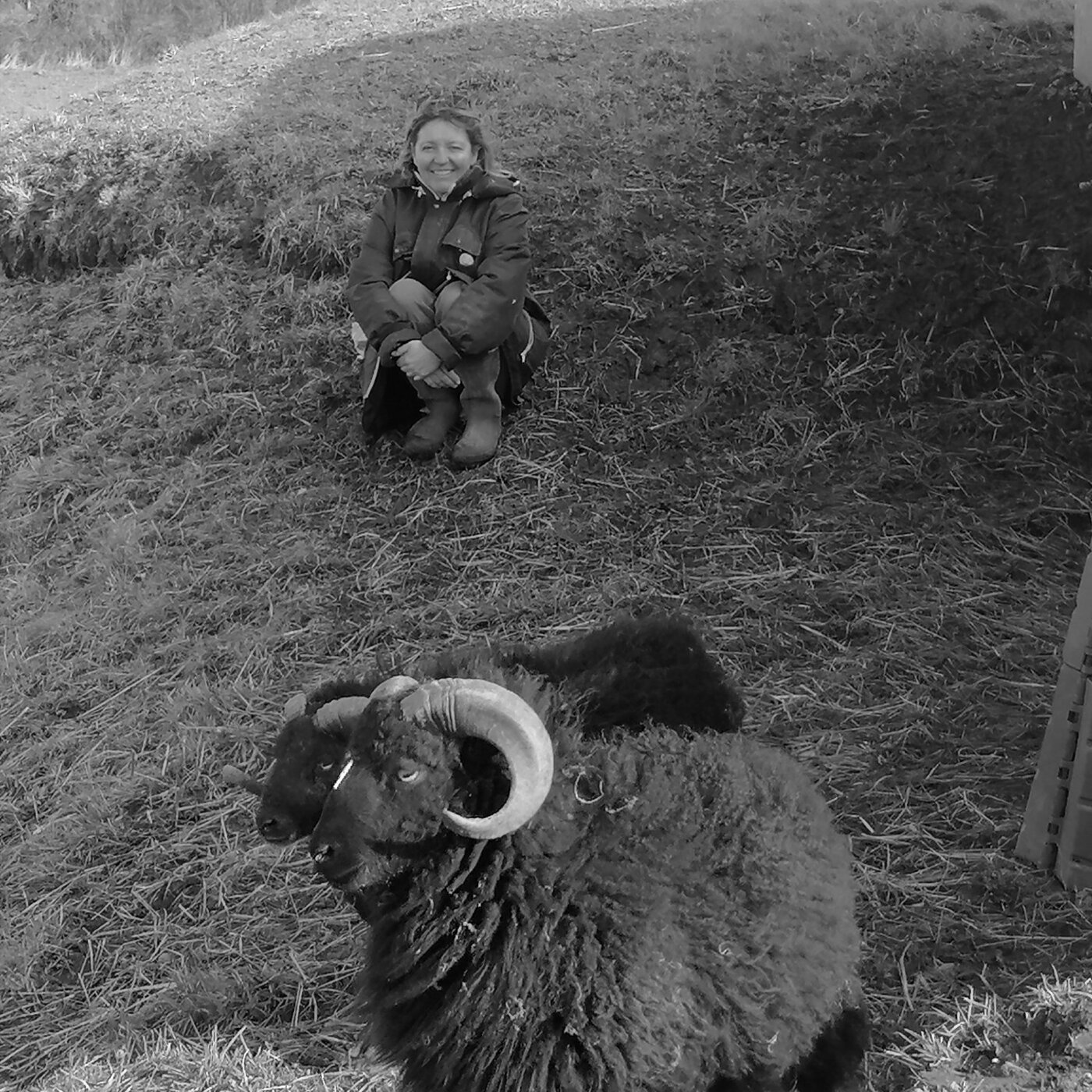 Rencontre avec Céline Masson Bergère de St Michel à Jullouville