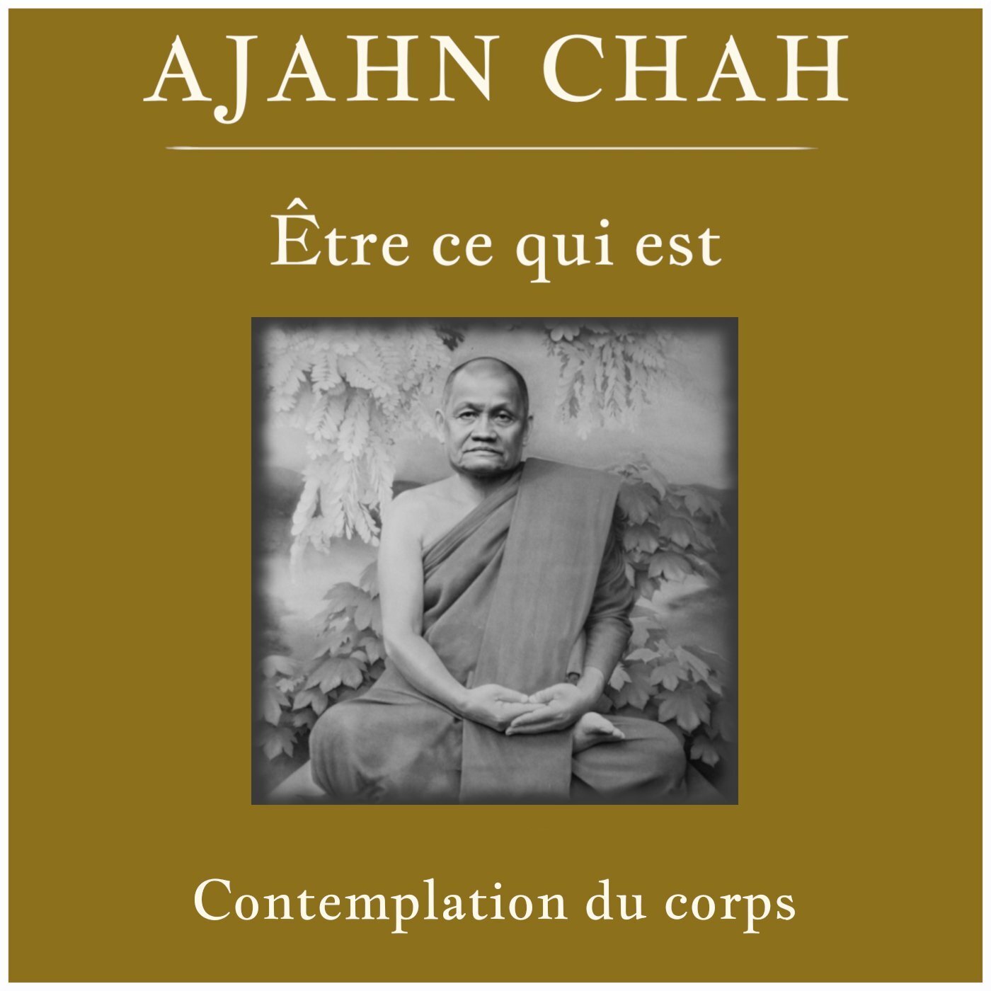 Ajahn Chah - Contemplation du corps