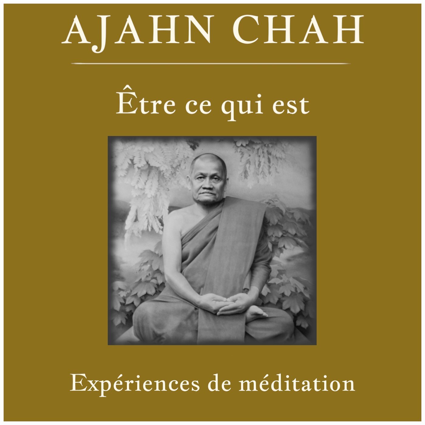Ajahn Chah - Expérience de méditation