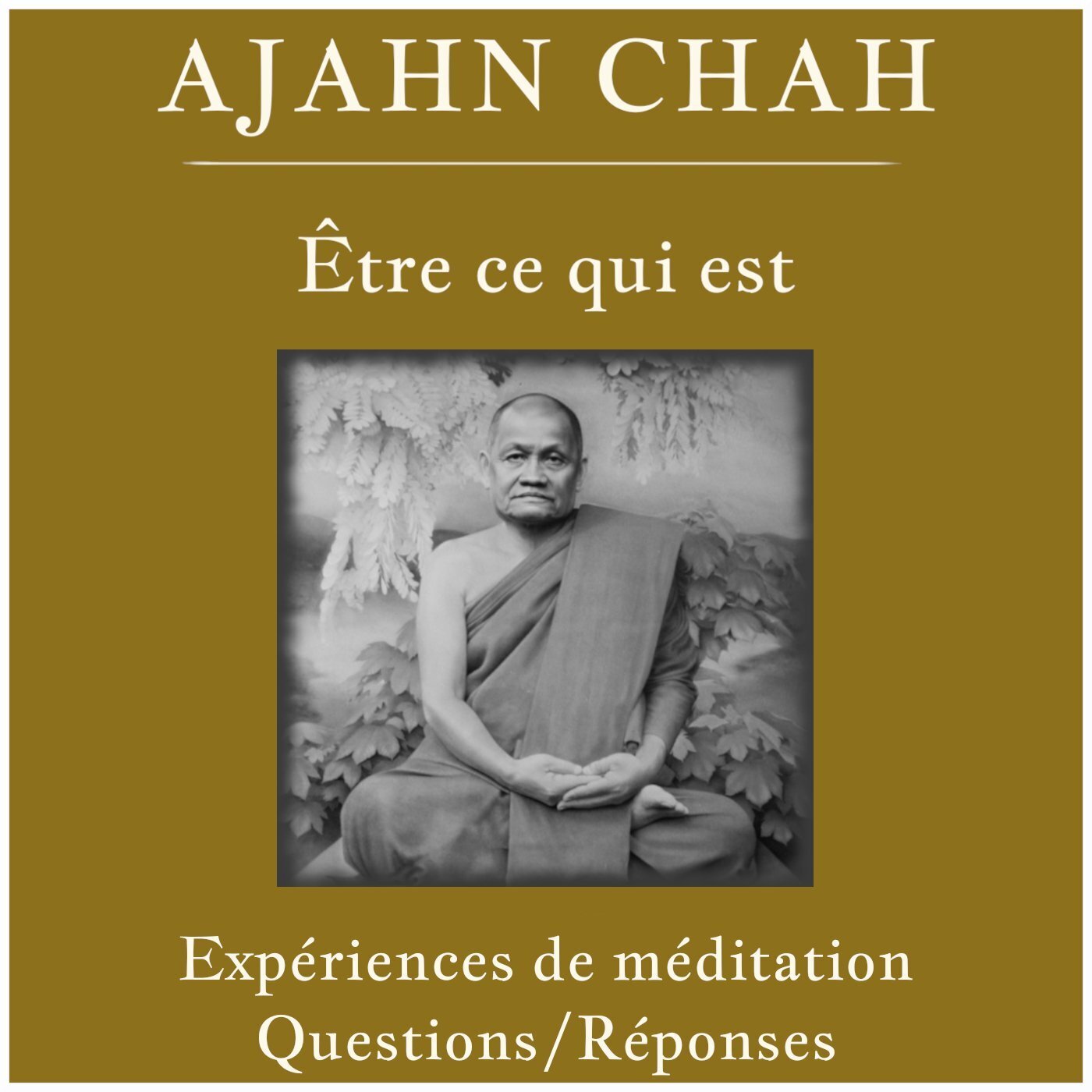 Ajahn Chah - Expériences de méditation: Questions/Réponses