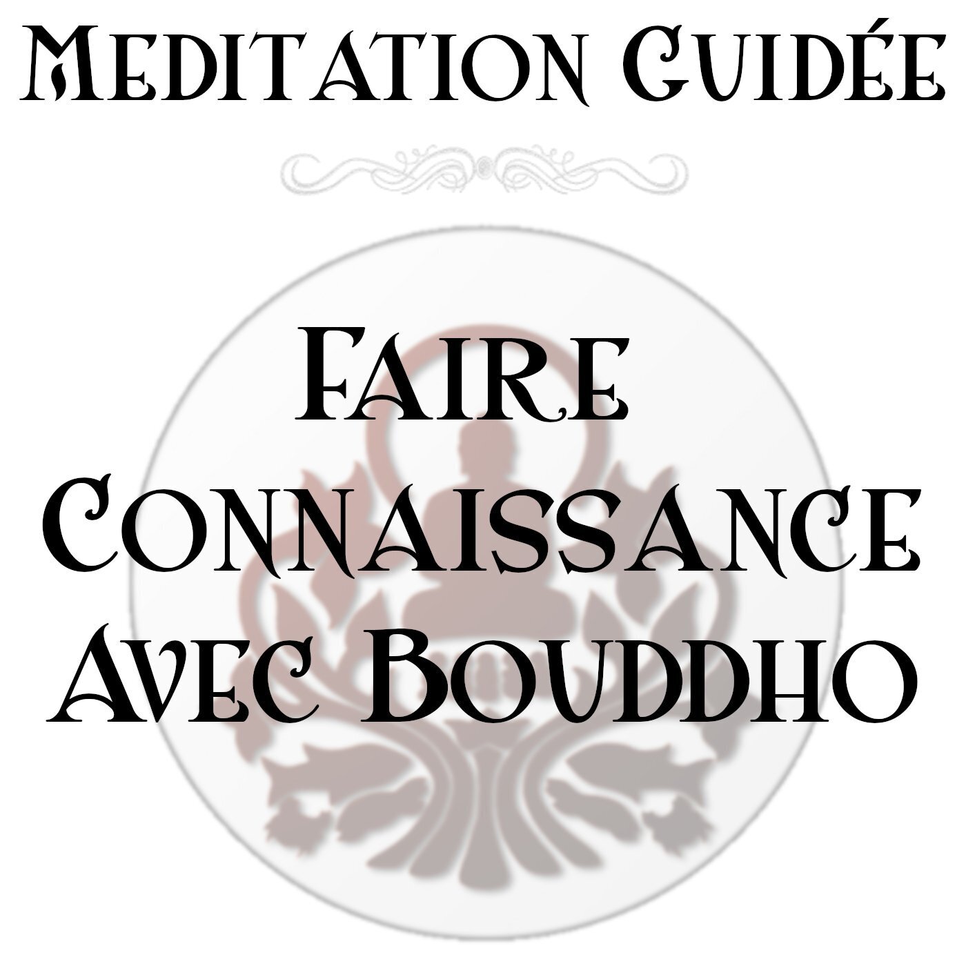 Faire connaissance avec bouddho