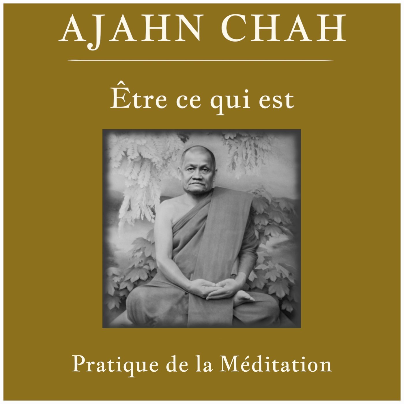 La pratique de la méditation