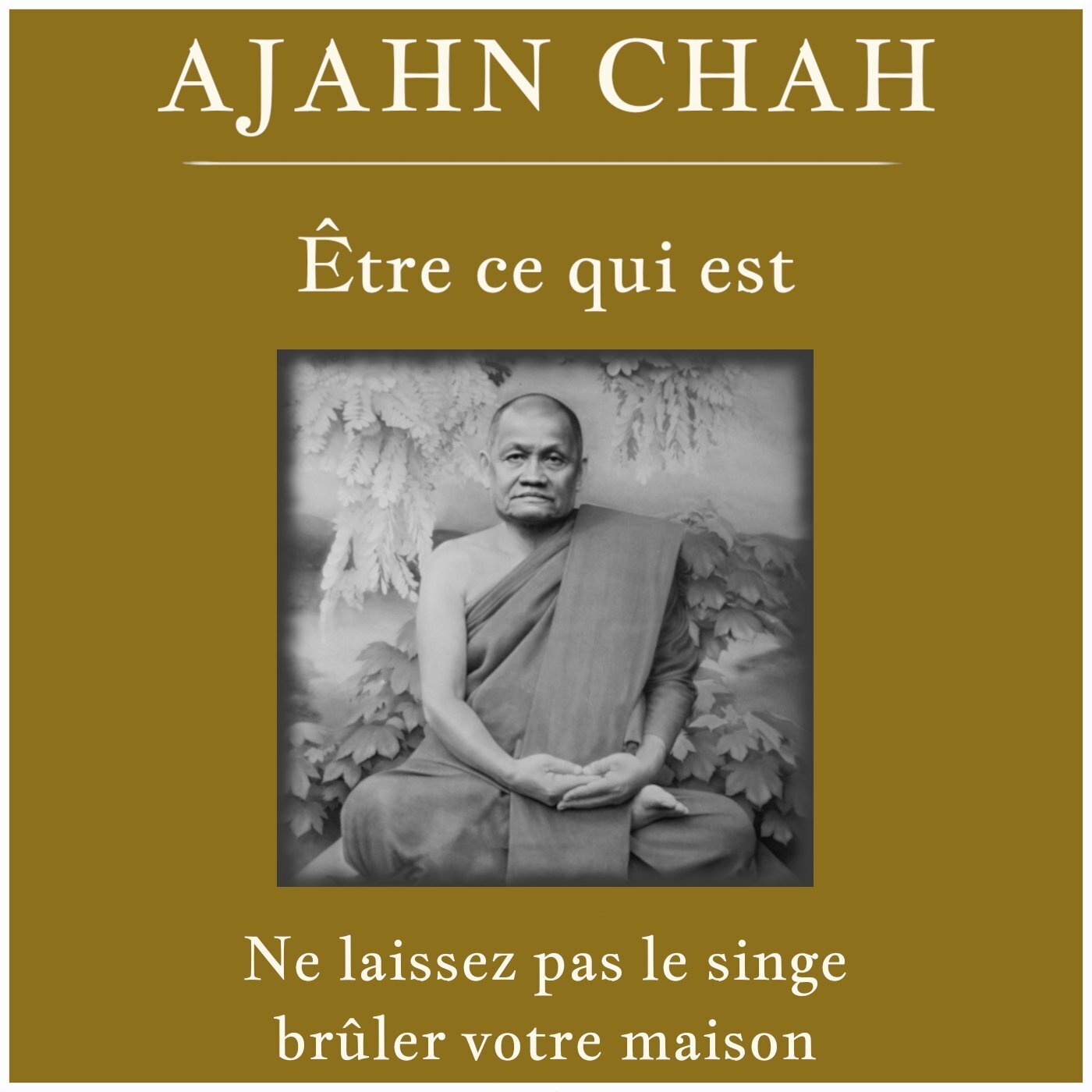 Ne laissez pas le singe brûler votre maison