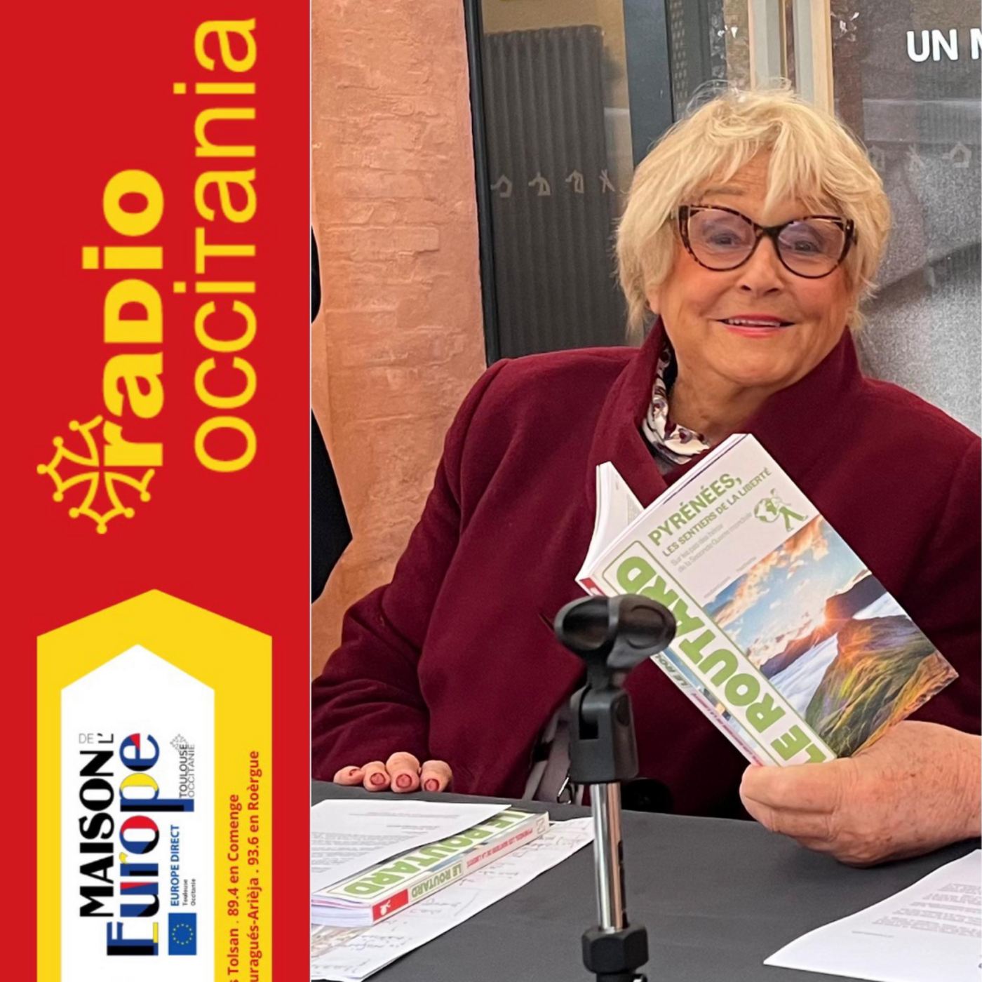 Josette Durrieu, Présidente de la Maison de l’Europe des Pyrenées