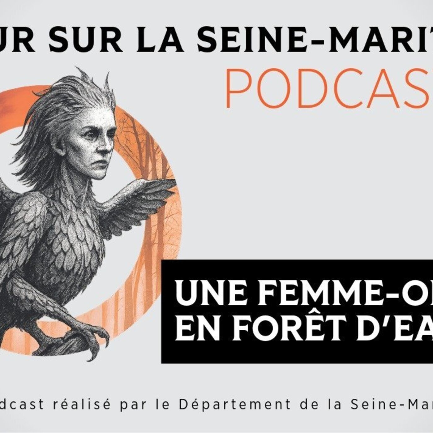 Peur sur la Seine-Maritime (1/4) - une femme-oiseau en forêt d'Eawy