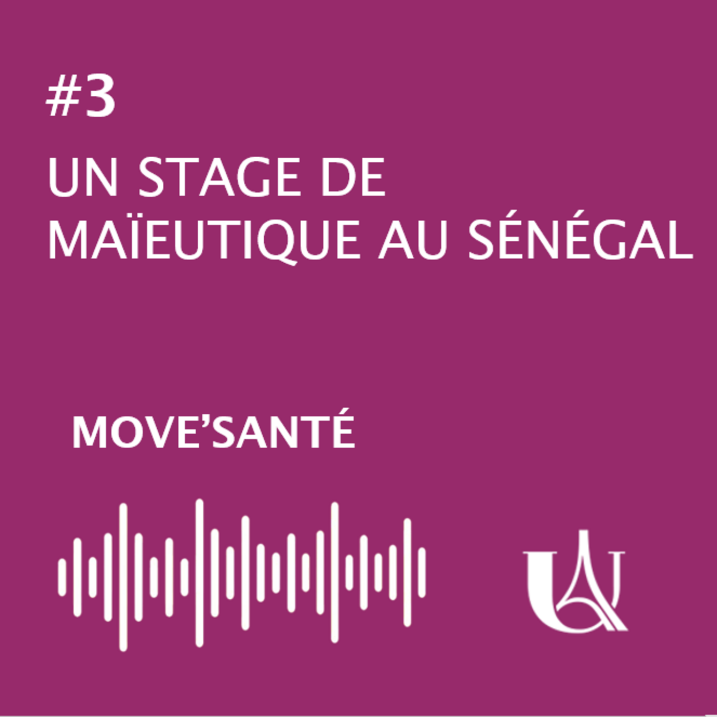 Un stage de Maïeutique au Sénégal