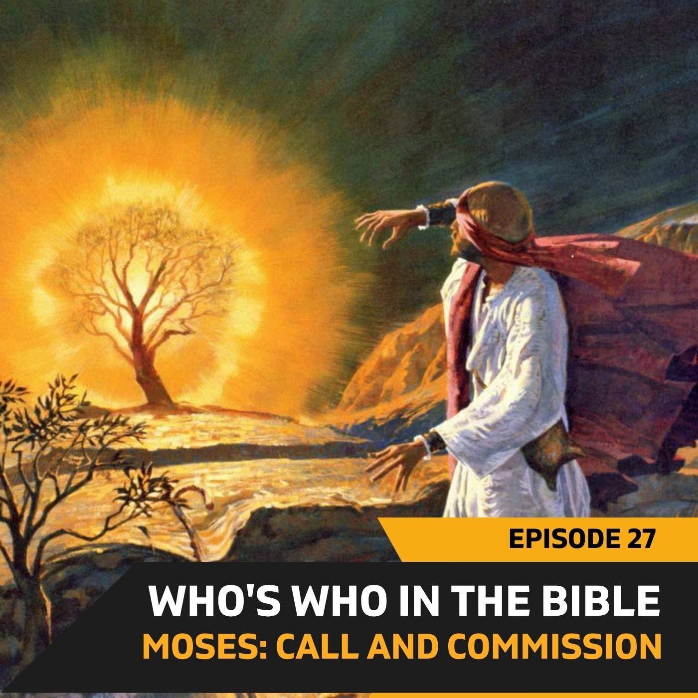 Moses - Call and Commission - Who's Who in the Bible - Episode 27 ...