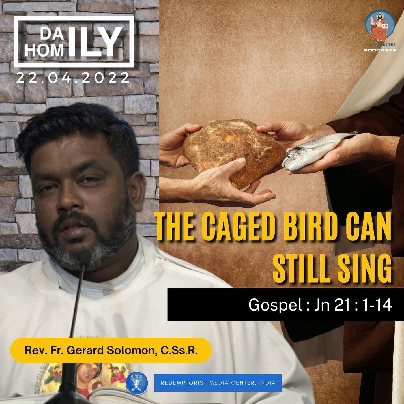 THE CAGED BIRD CAN STILL SING