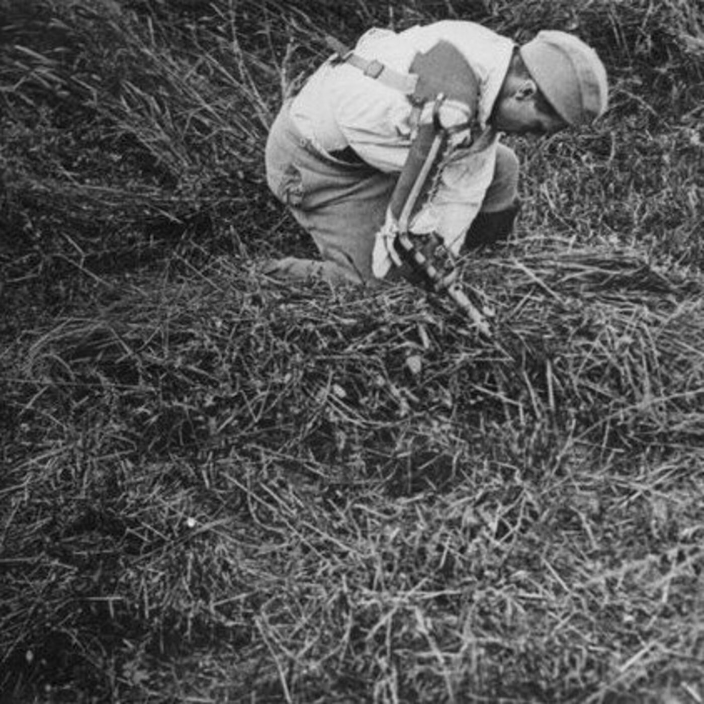 Des héros à moitié tués : les mutilés de la Grande Guerre.