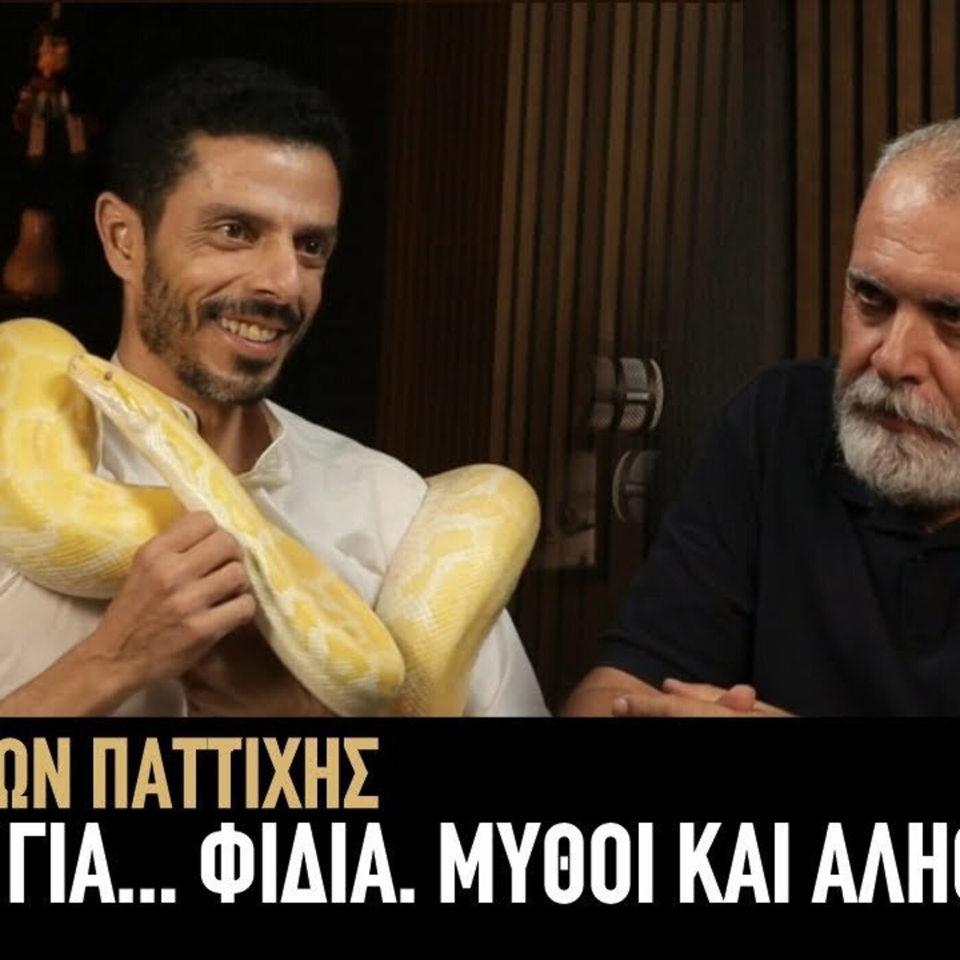 Αγαμέμνων Παττίχης