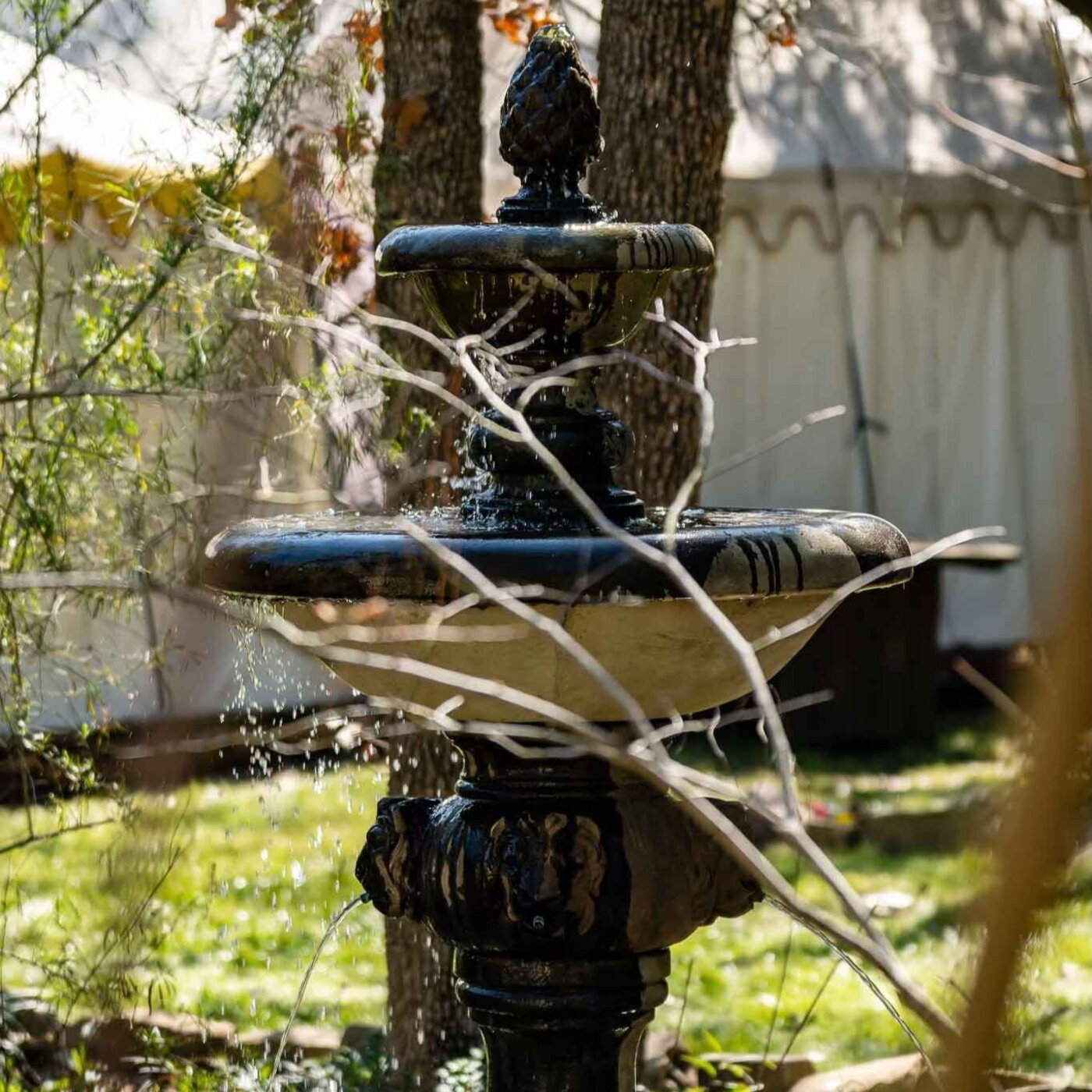 Struggle Bus: Day 106