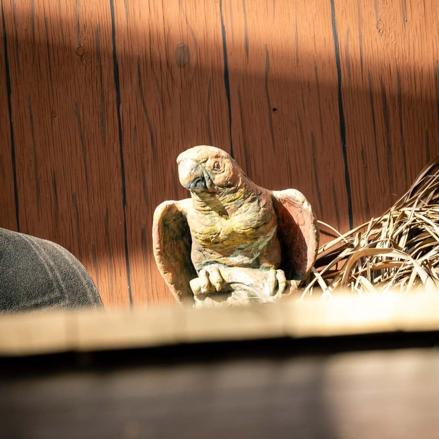 Struggle Bus: Day 109