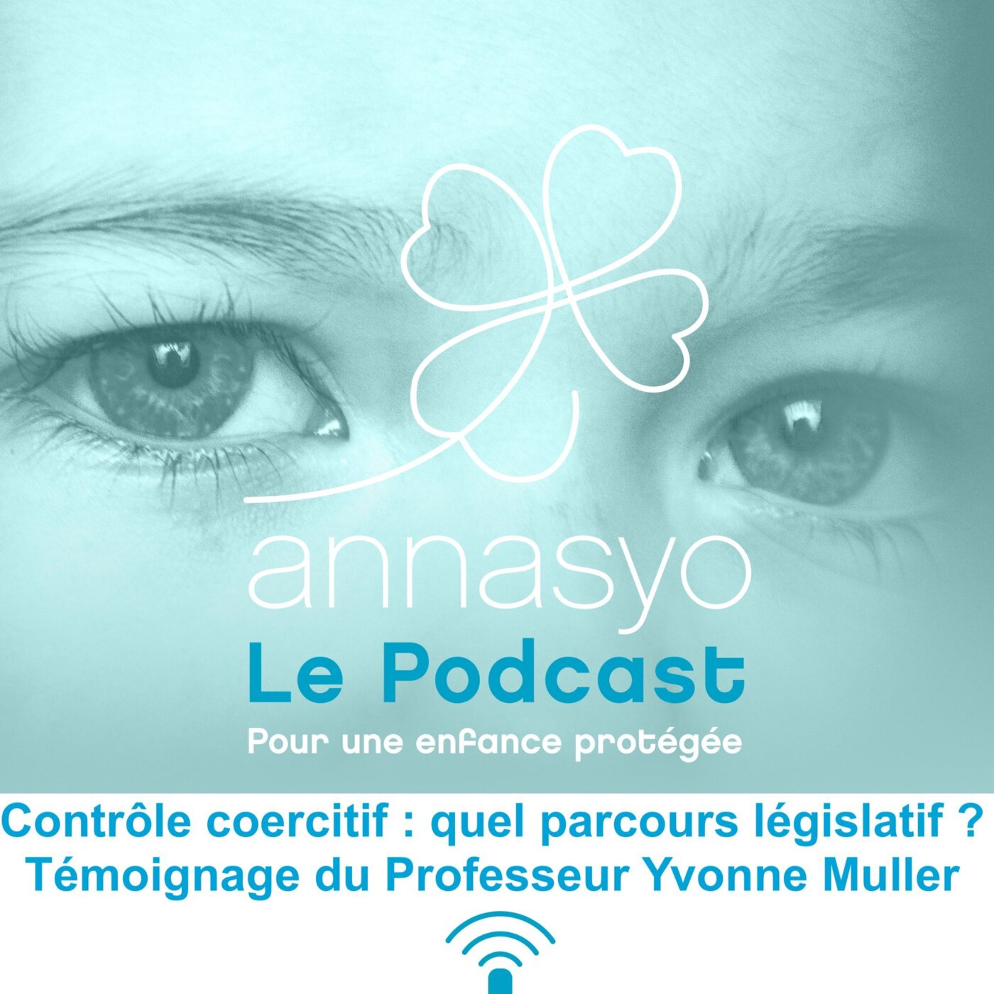 Qu'en est-il du parcours législatif du contrôle coercitif ?