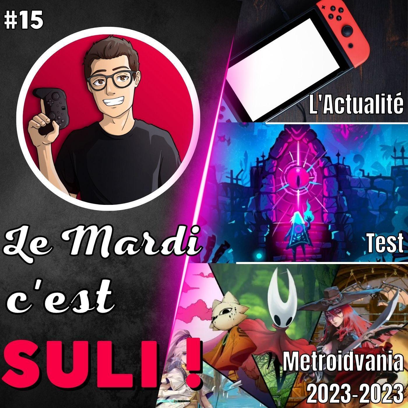 ✨L'actualité 🔥TEST: Lone Ruin 📅Attentes Metroidvania ...