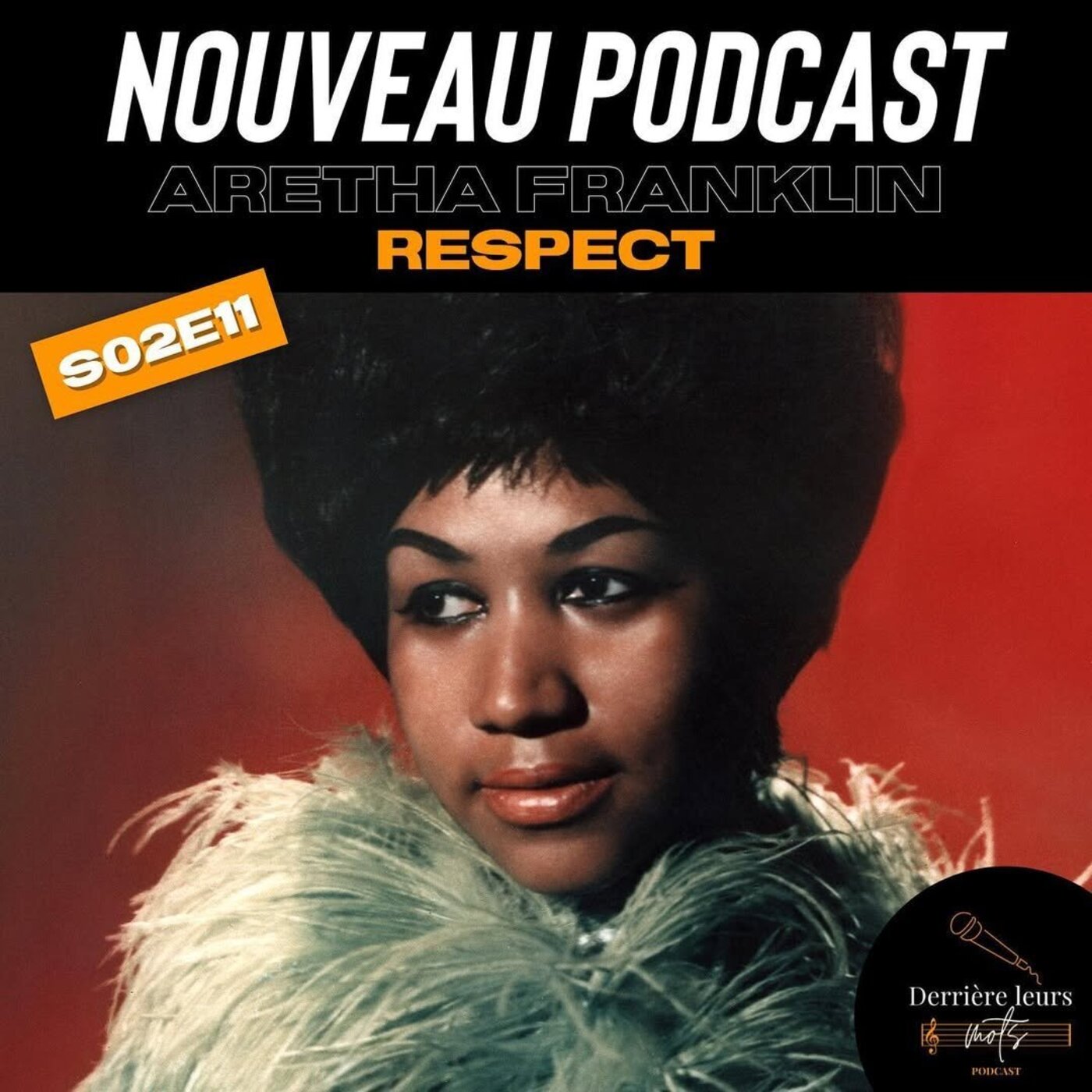 S02E11 : Aretha Franklin - Respect episode artwork