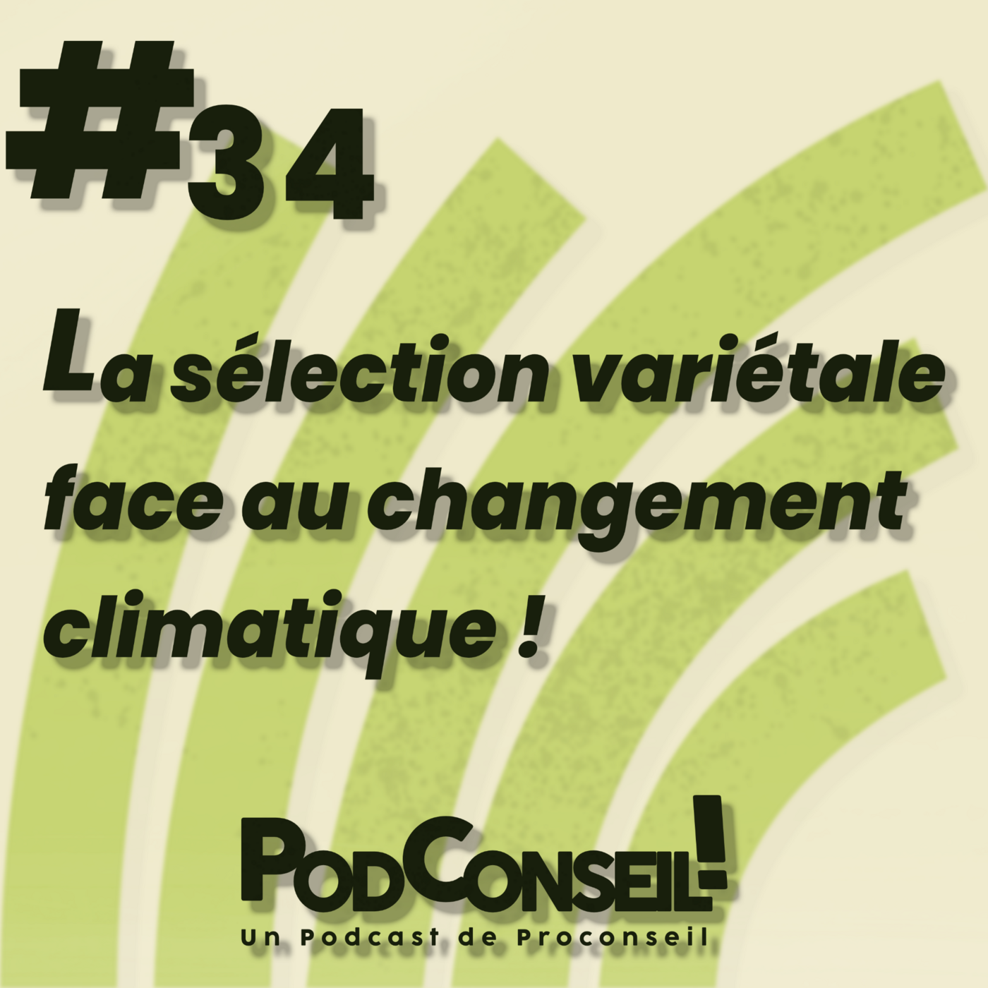 PodConseil