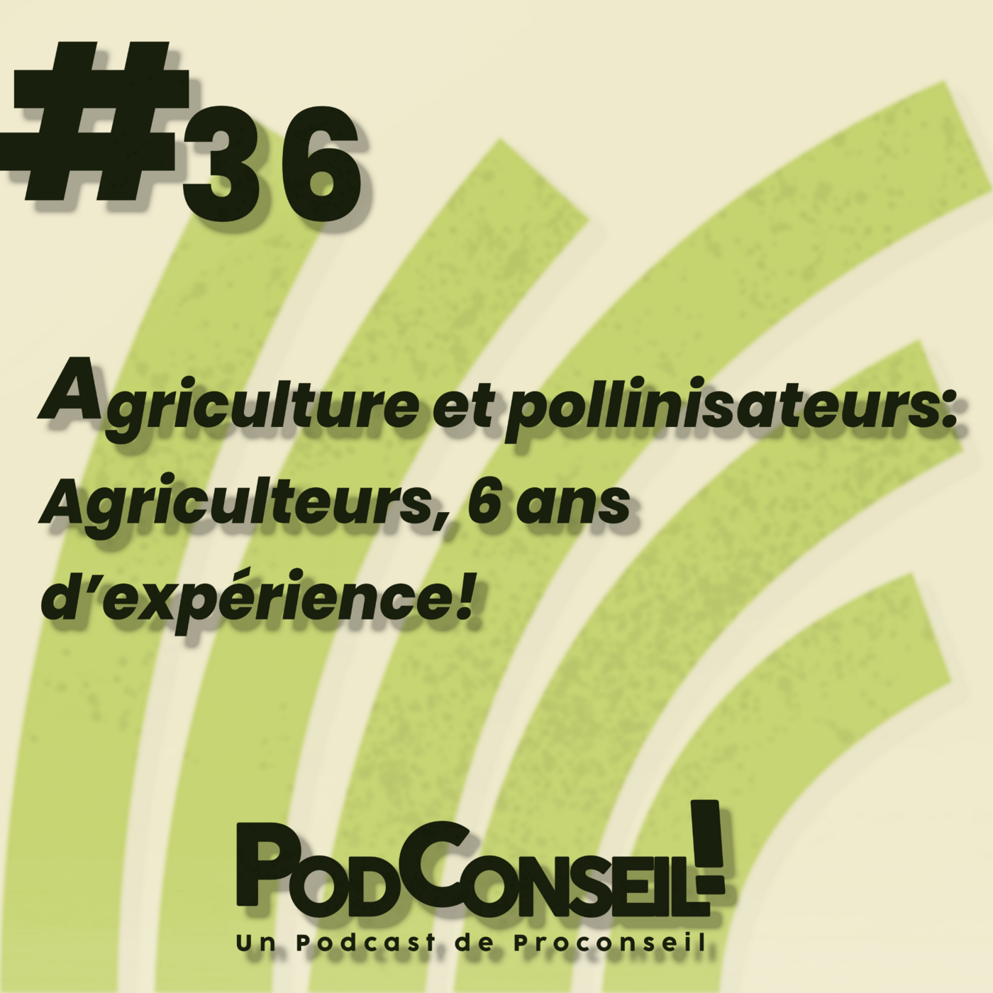 PodConseil