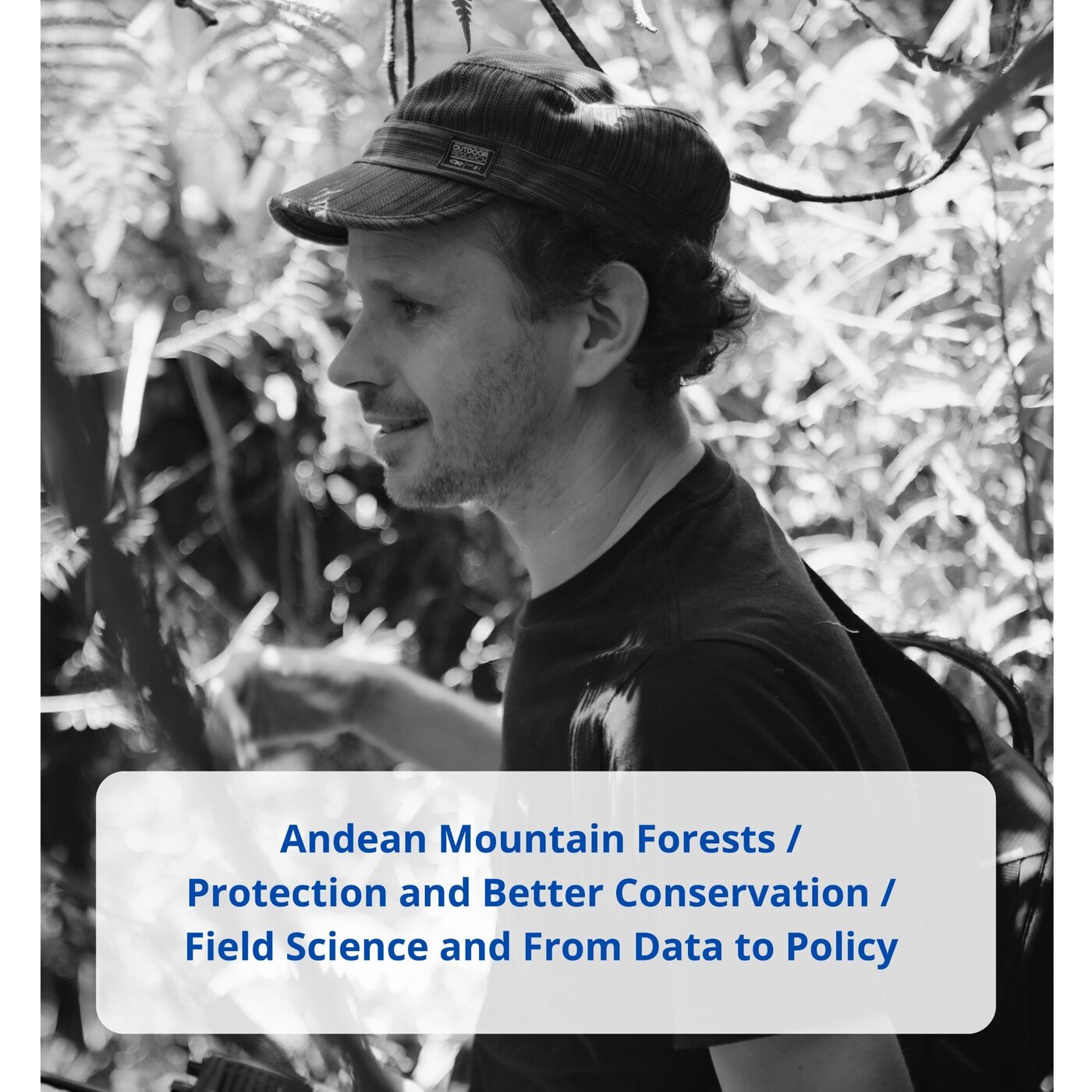 Andean mountain forests | Protection and Better Conservation | Field Science & From Data to Policy