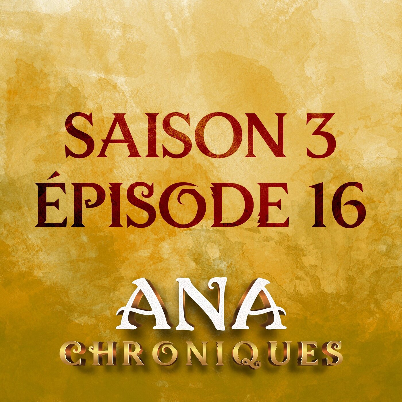S03 E16 EXCUSE MY FRENCH