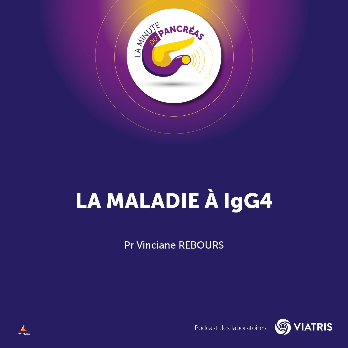 La maladie à IgG4