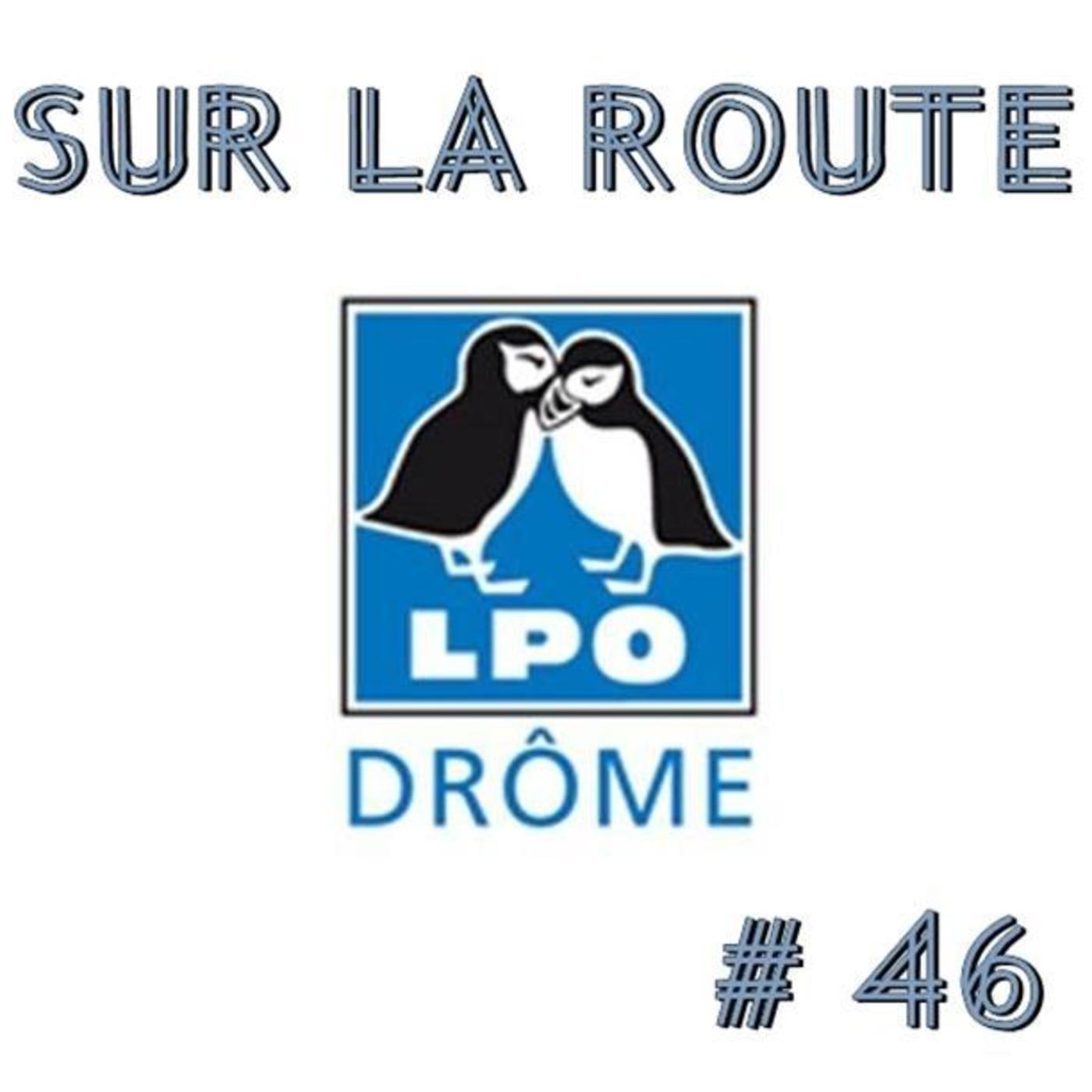 SUR LA ROUTE #46