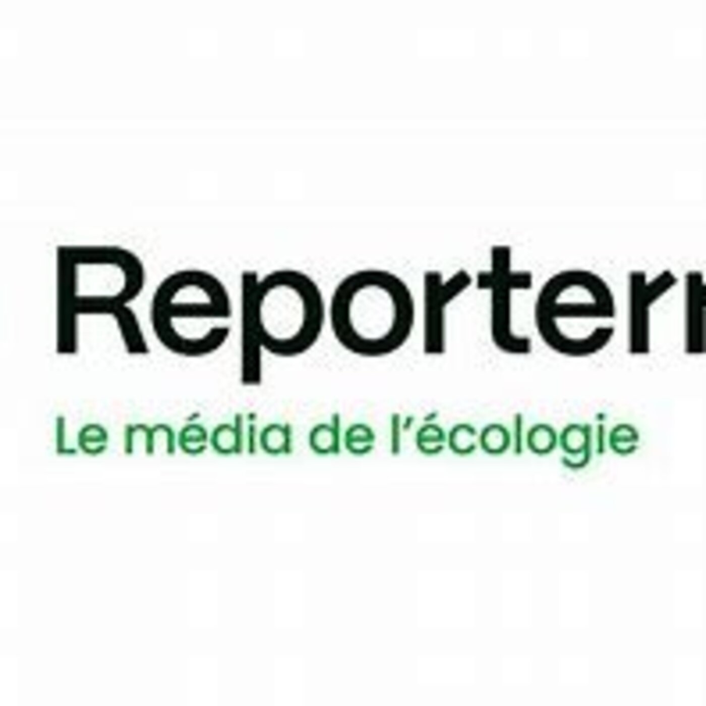 Les Autres Voix de la Presse n°282 - Amélie Mougey, nouvelle directrice de Reporterre