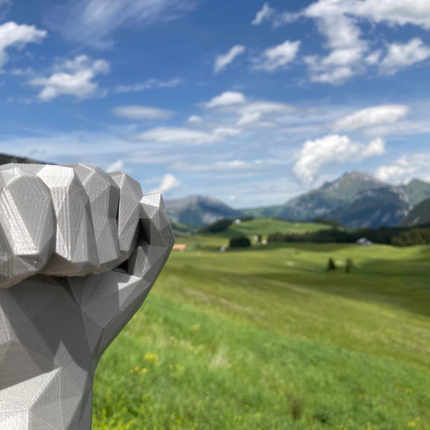 Parution aléatoire n°1 - Gérard Vez, organisateur du rassemblement des Glières
