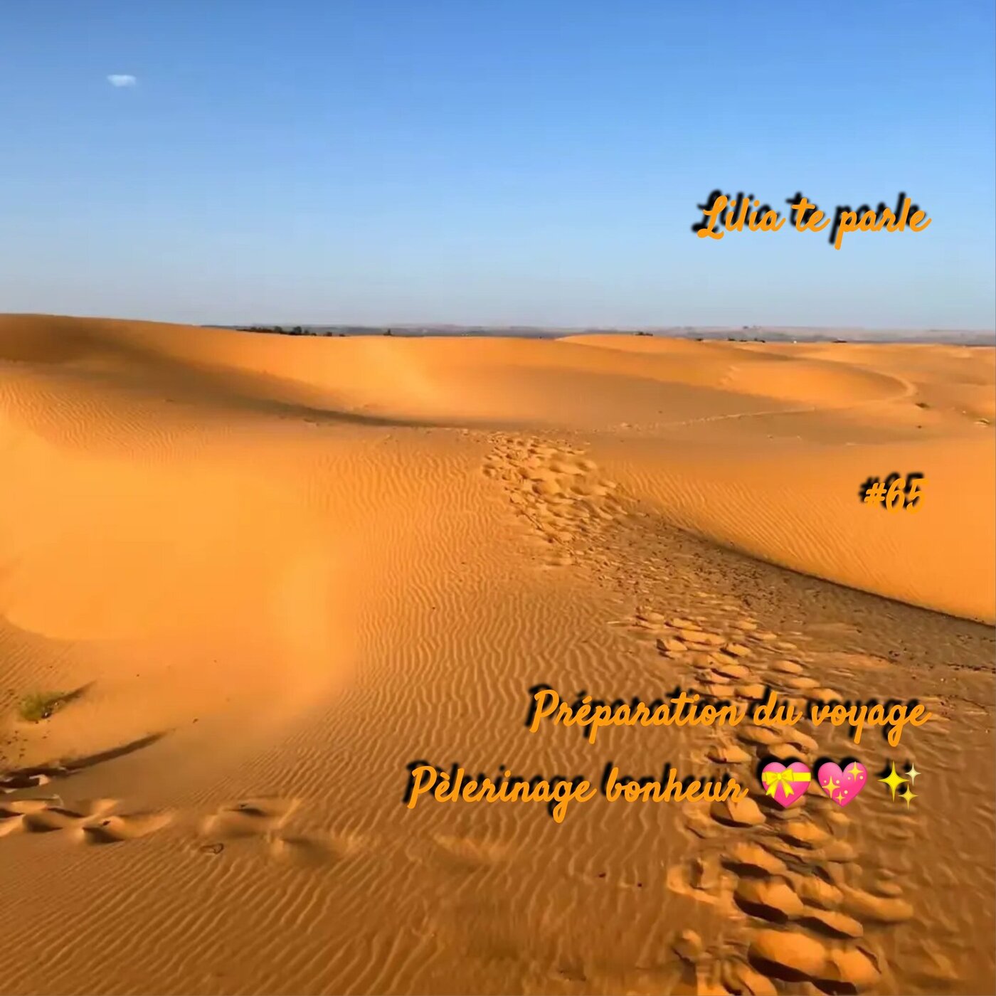 #65 Préparation du voyage pèlerinage bonheur