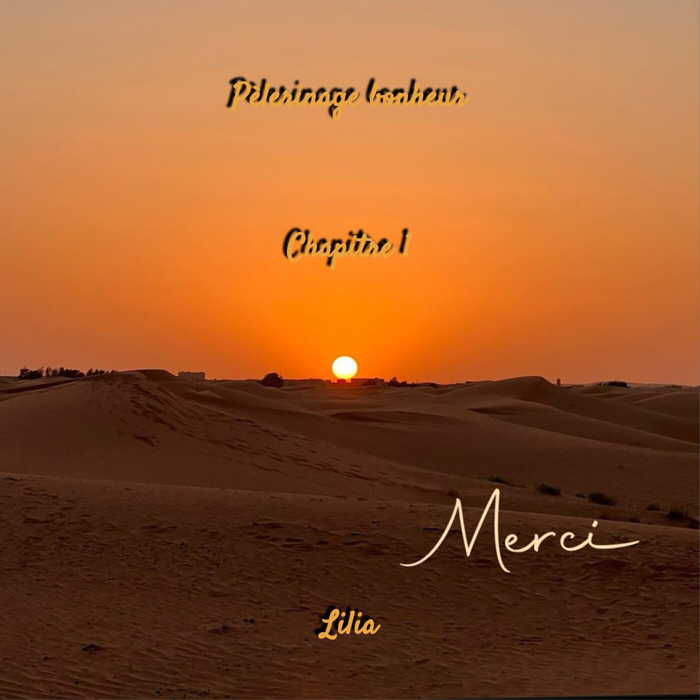 #67 Chapitre 1 Pèlerinage bonheur