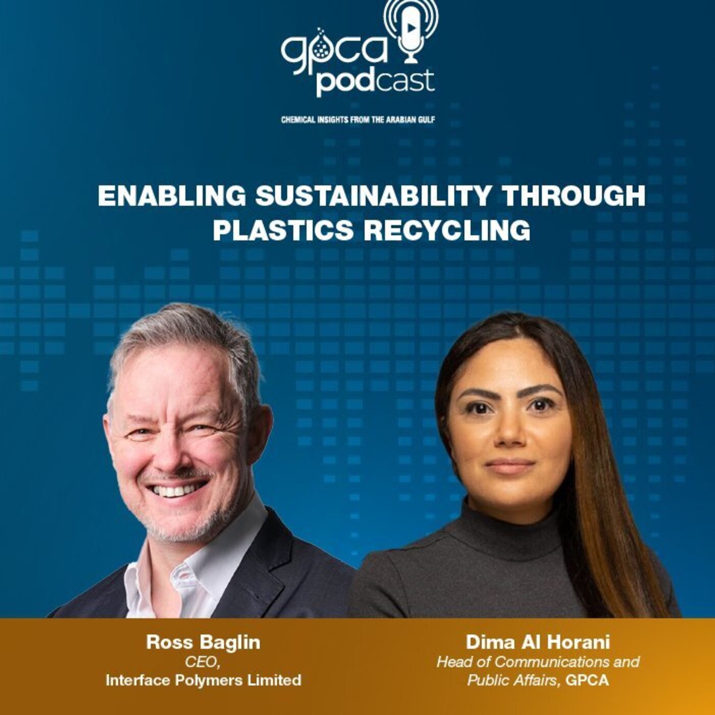 Enabling Sustainability through Plastics Recycling