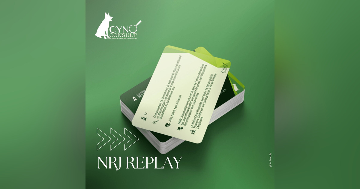 [ Replay ] NRJ 3/3 Le chien, cet animal qui nous échappe Le jeu — free download