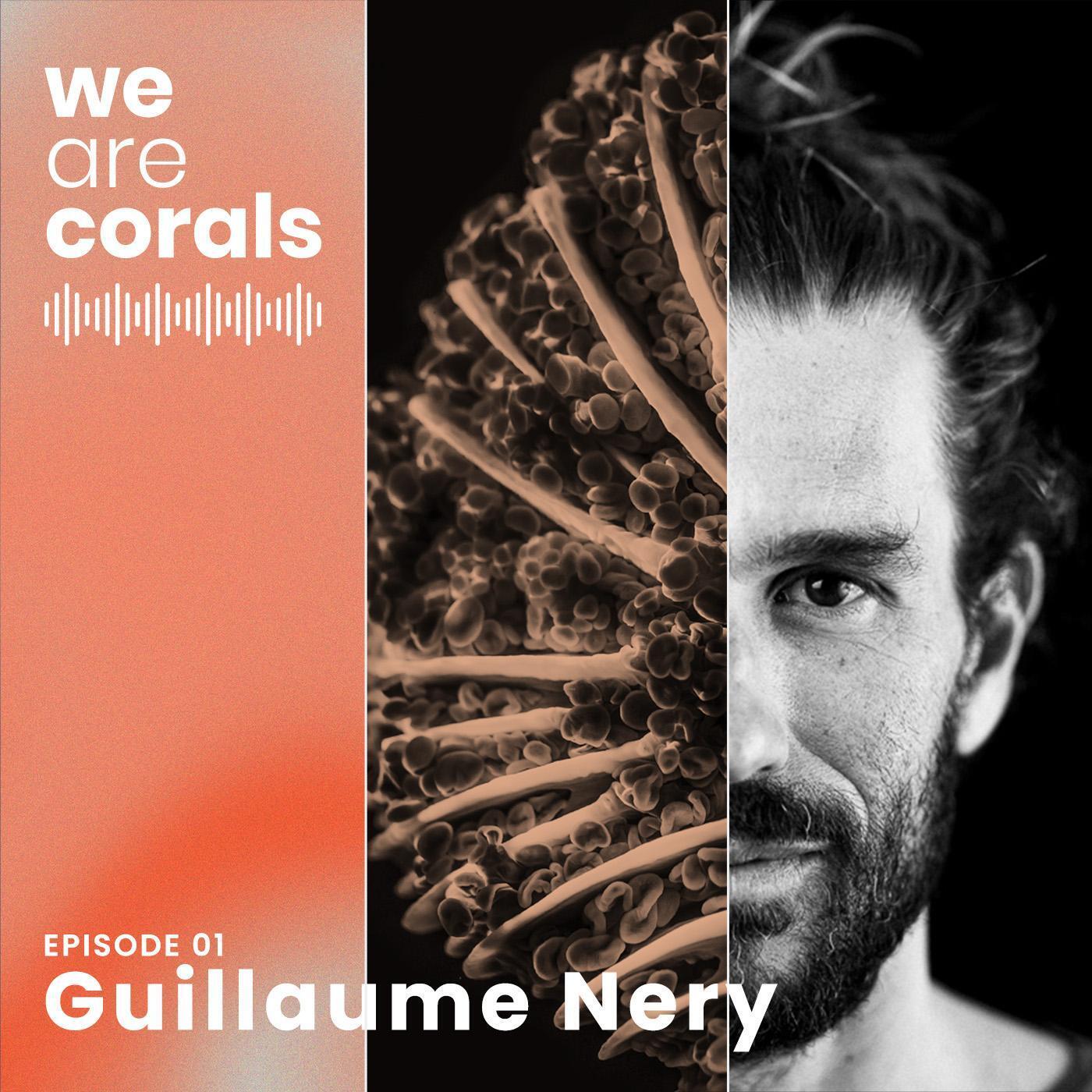 Guillaume Néry