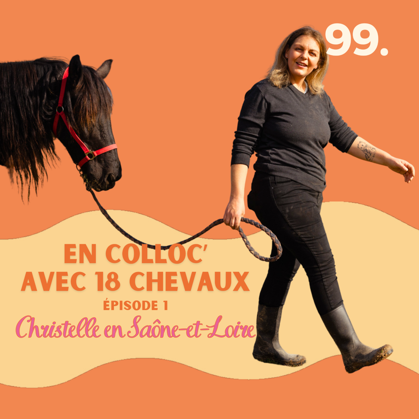 En colloc avec 18 chevaux, Christelle en Saône-et-Loire #99 l quitter Paris, demenager, changer de vie, reconversion, ville idéale, demenagement avec enfants, vivre a la campagne, Reconversion à la campagne, burn out, paris je te quitte, changer ma vie, p