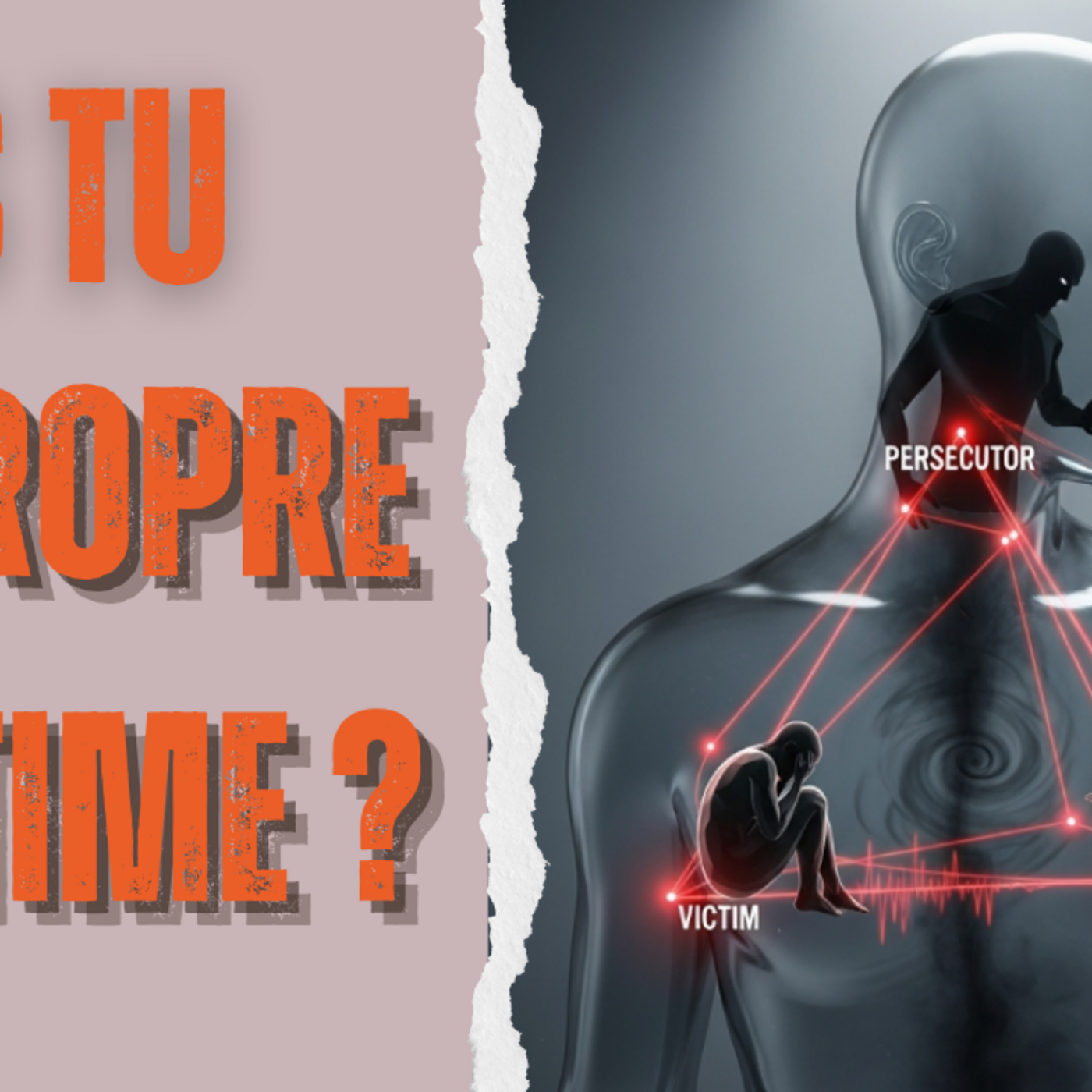 Pank Hypnosophie %231127 : Arriveriez vous à vous dire que vous êtes Victime de vous même ?