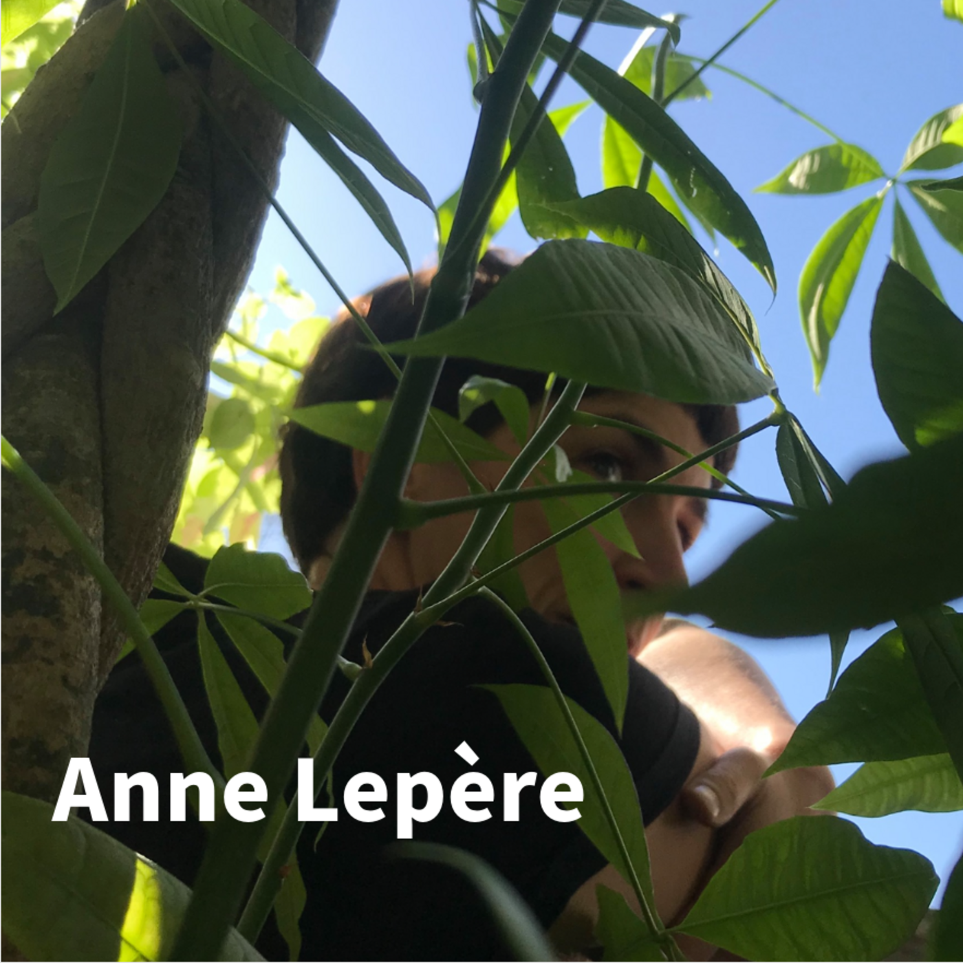 Une rencontre avec la créatrice sonore : Anne Lepère