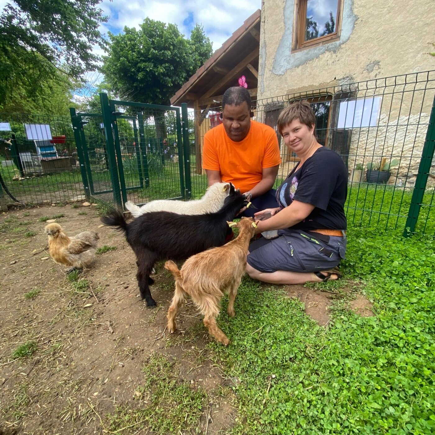 3. 15. Ferme Ferlin, la mini-ferme pour les petits et les grands
