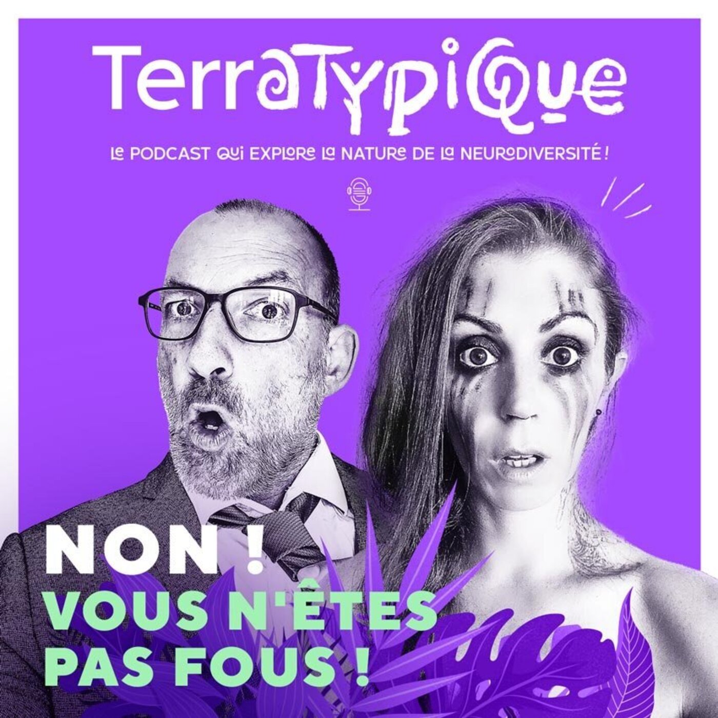 NON ! Vous n'êtes pas fous ! episode artwork