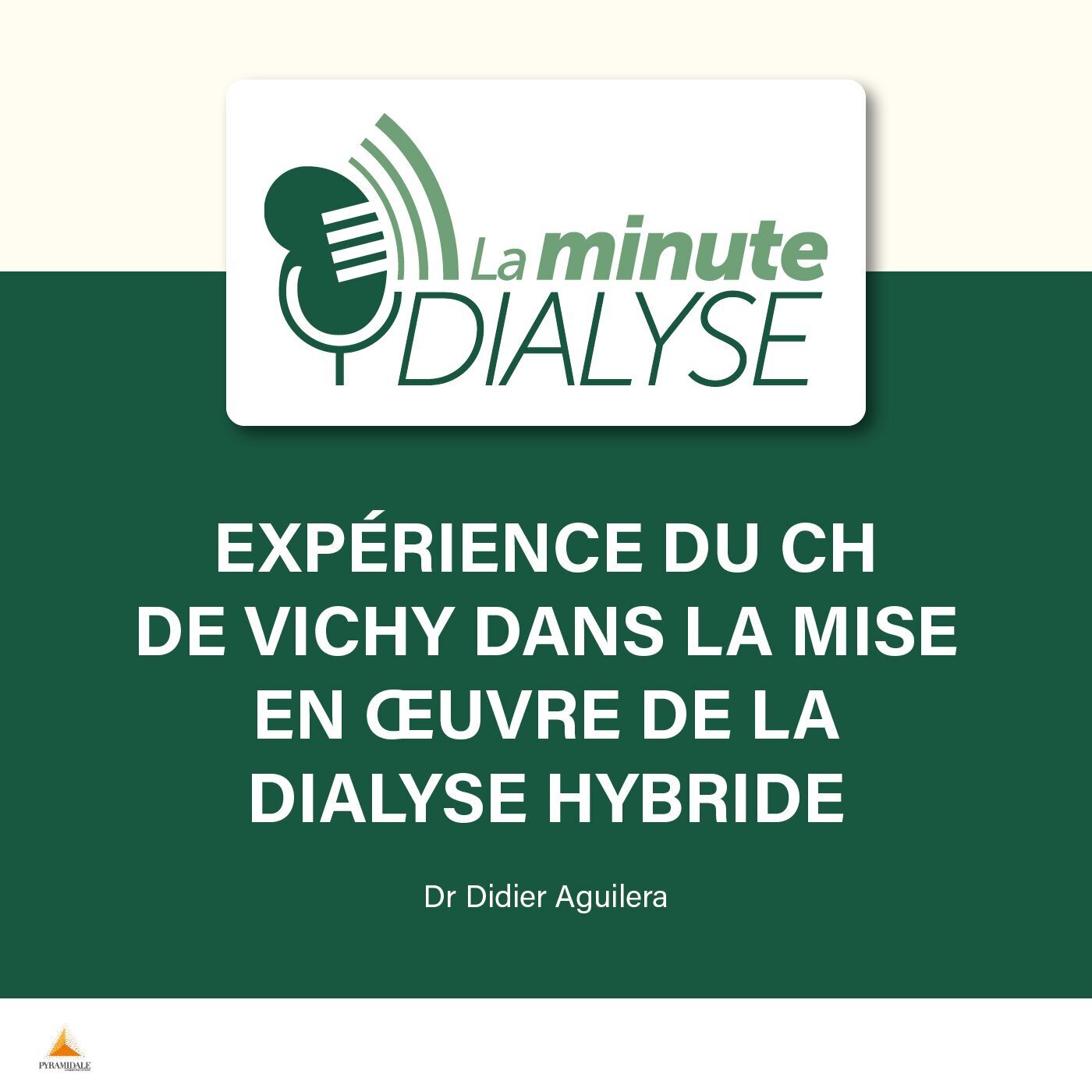 [REDIFFUSION] Expérience du CH de Vichy dans la mise en œuvre de la dialyse hybride