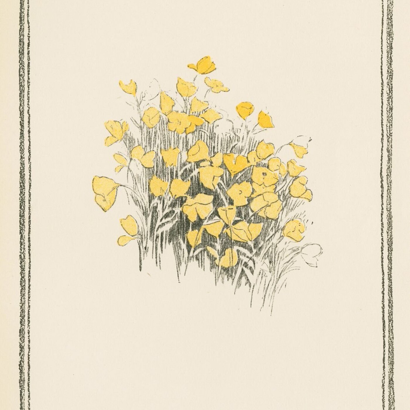 BO #128 : pause psyché - playlist à la coule et bizarre BO #128 : pause psyché - playlist à la coule et bizarre