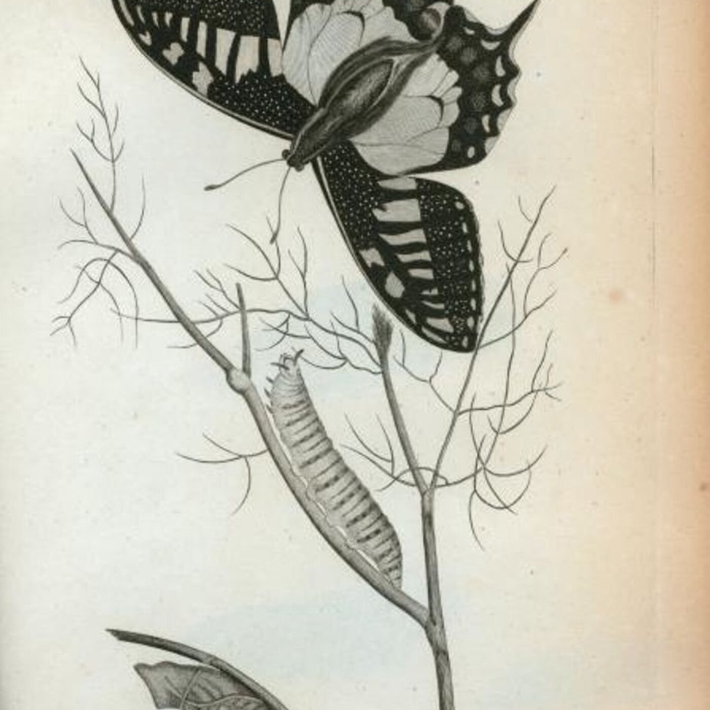 BO #131 : Demain, c’est comment ? La notion du lendemain dans le rap français BO #131 : Demain, c’est comment ? La notion du lendemain dans le rap français