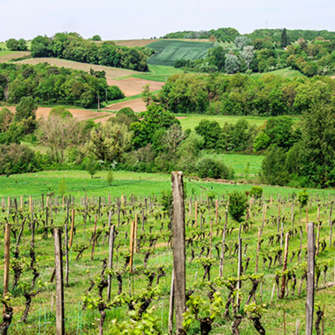 Les invités de l'été : Lisa  et Yvan  Le Domaine Les Hauts de Riquets (47)