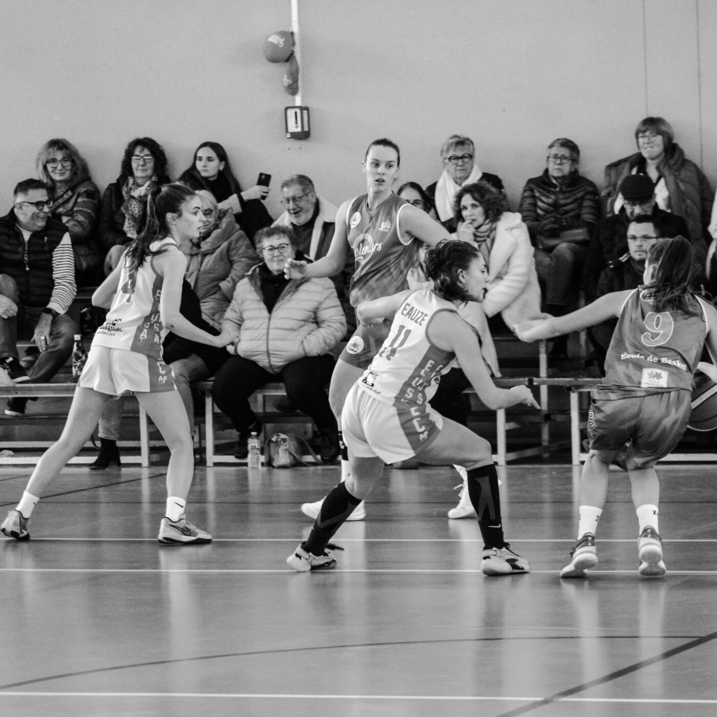 On Aime le Basket :  Sylvette Pujol présidente du Basket Elusa