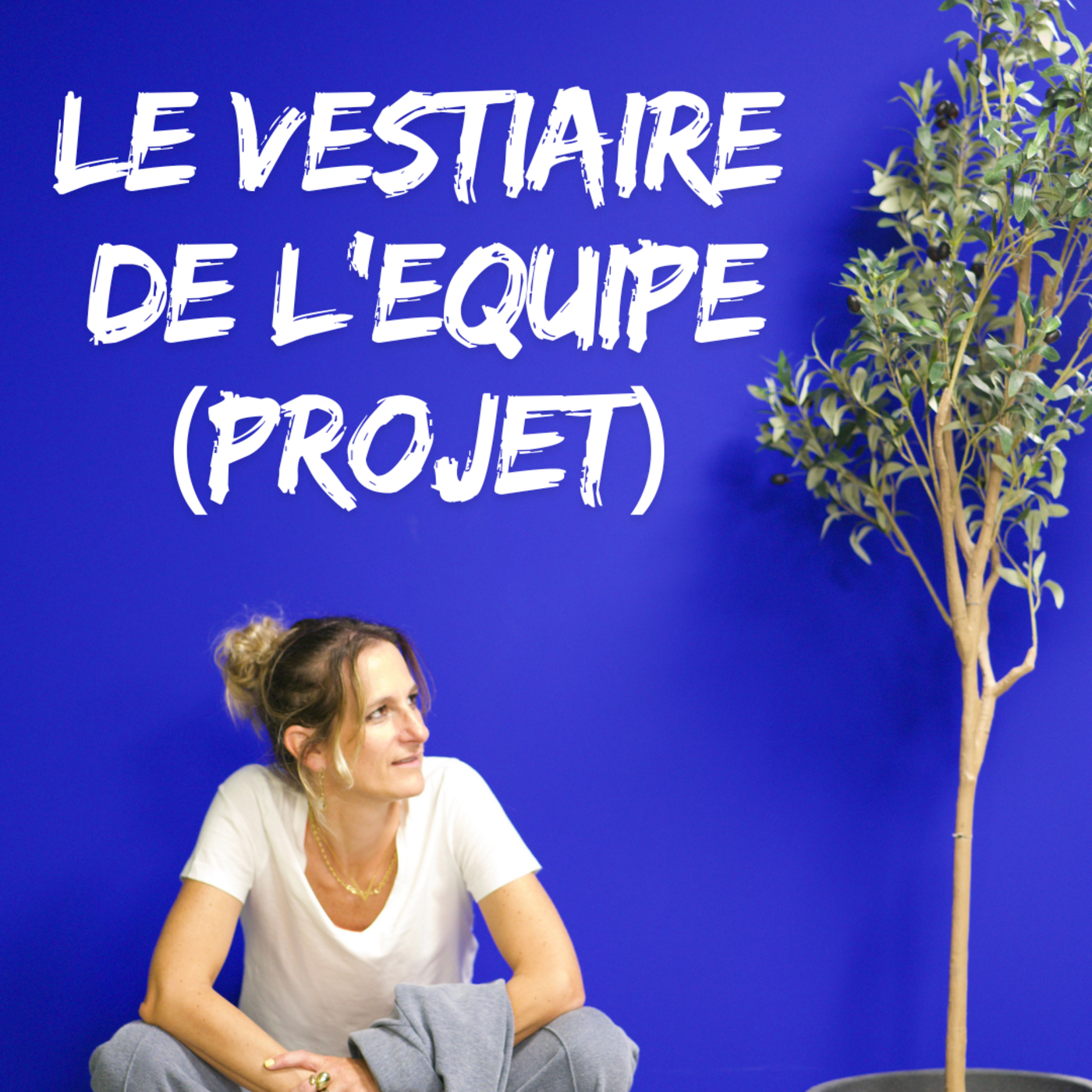 Reprendre les commandes : les bases de la gestion de projet 3/5 episode artwork