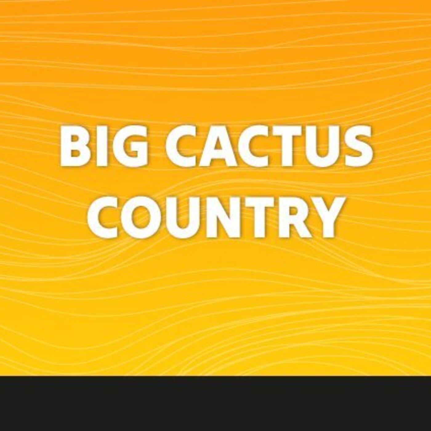 Big Cactus Country - 07 Décembre 2025