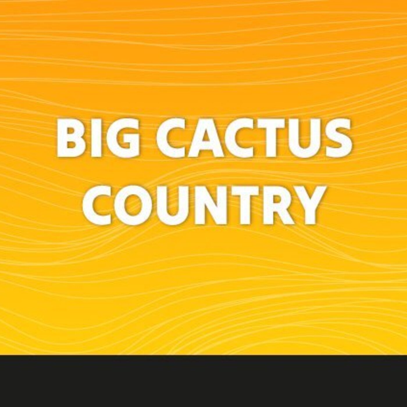 Big Cactus Country - 10 Août 2025