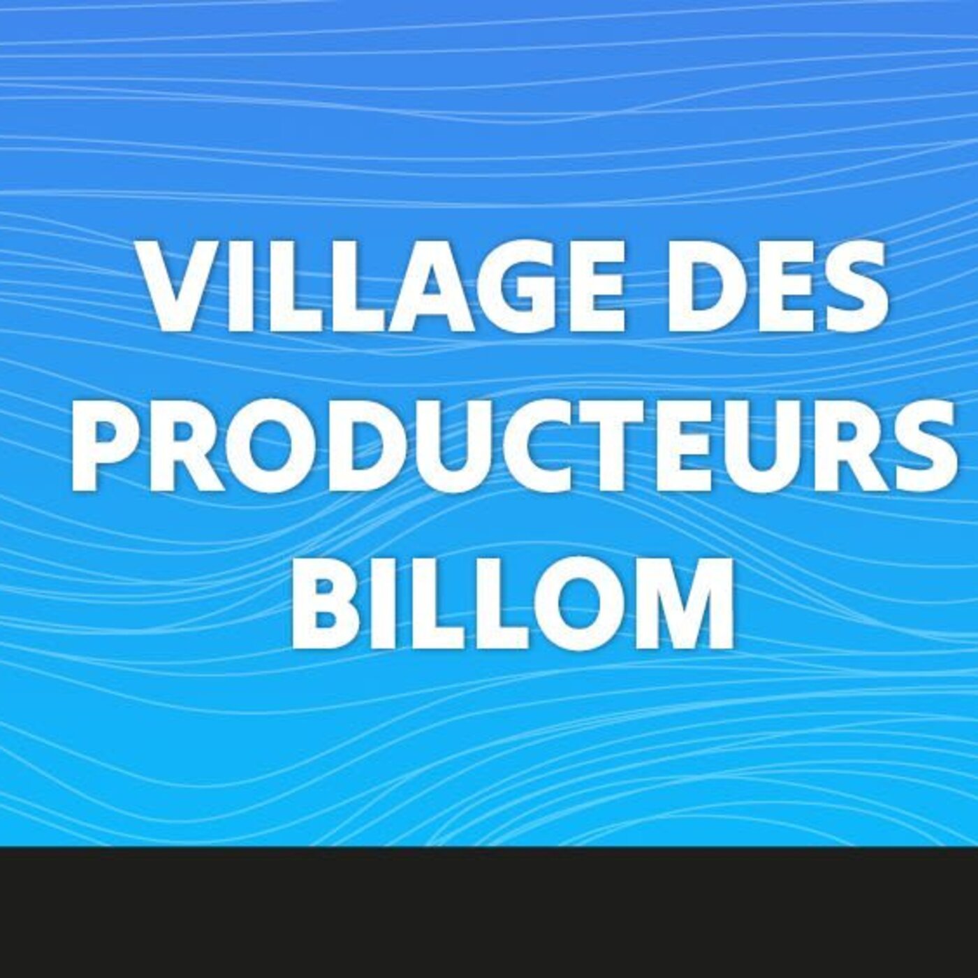 Emission Spéciale - 27e village des Sites Remarquables du goût de billom - 07 Décembre 2024