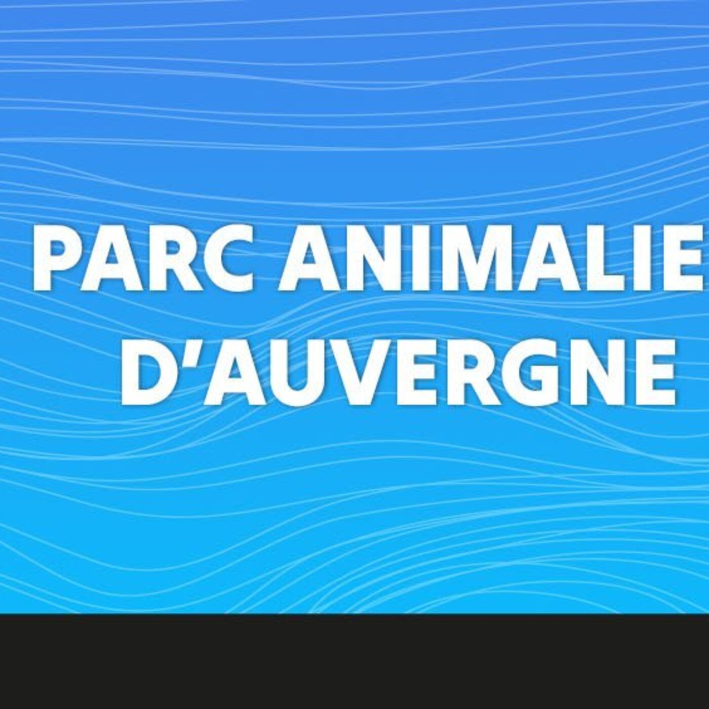 Emission Spéciale - Parc animalier d'Auvergne 06 Juin 2025