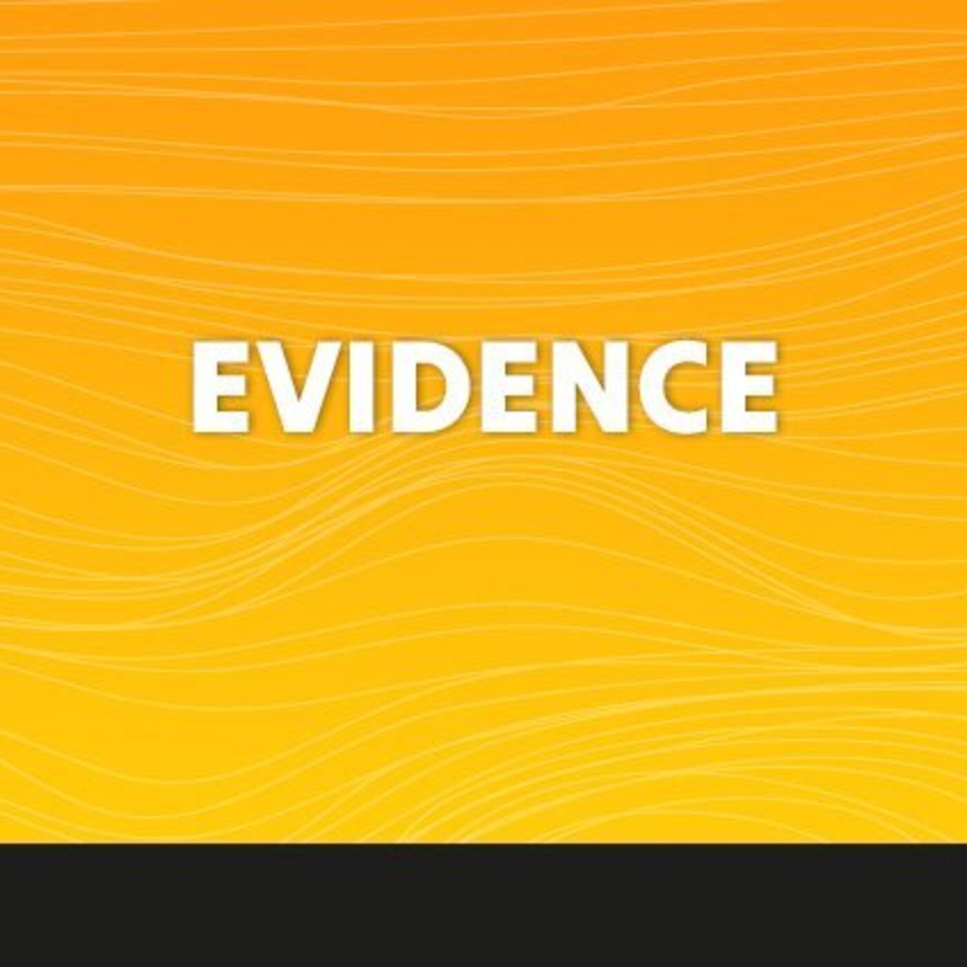 Evidence -30 Décembre 2025